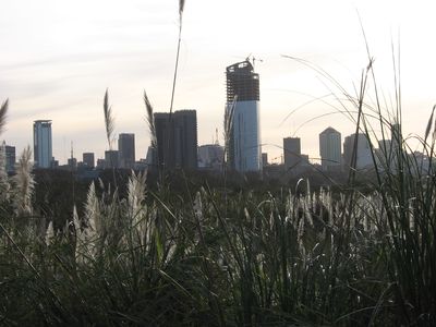 Parce que c'est beau, reserve naturelle de Buenos Aires